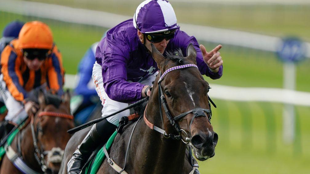 Indestructible: 14-1 for the 2,000 Guineas after impressive Craven victory