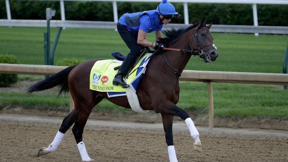 Thunder Snow: had been pleasing his Godolphin connections at Churchill Downs before mystifying display in Kentucky Derby