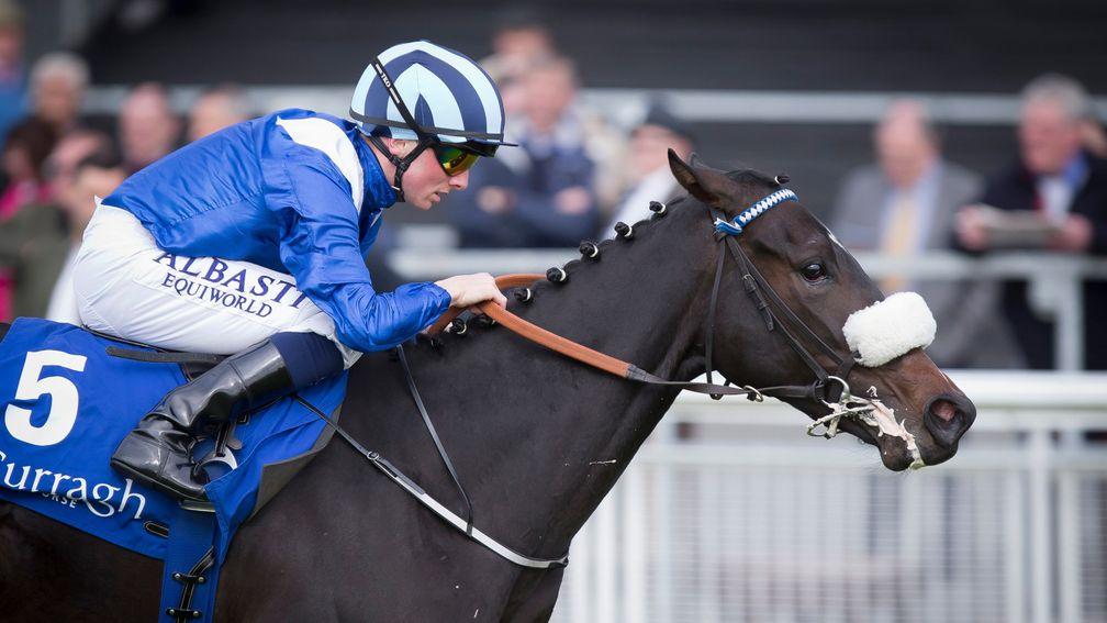 Aneen: half-sister to Awtaad will be bidding to win the Irish 1,000 Guineas