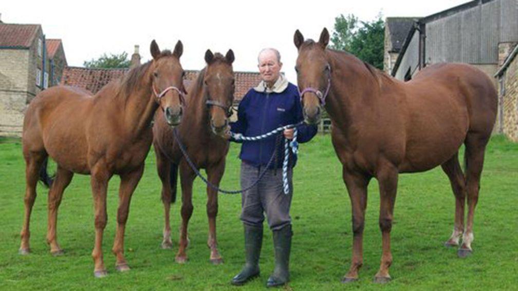 David Brotherton with Bishops Court (left), Indigo (middle) and Amused (right)