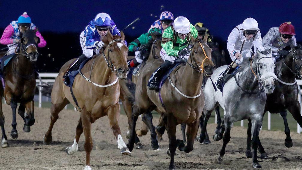 Flaming Spear and Robert Winston (left, blue with white star on cap) sprint from last to first to land an improbable victory at Newcastle in January