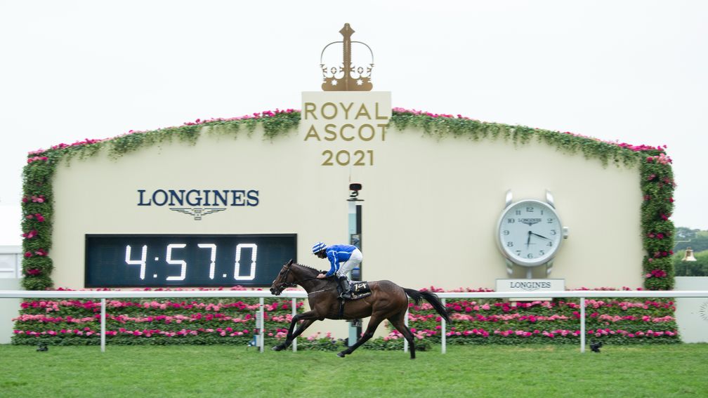 Stratum: landed the Queen Alexandra Stakes at Royal Ascot in June