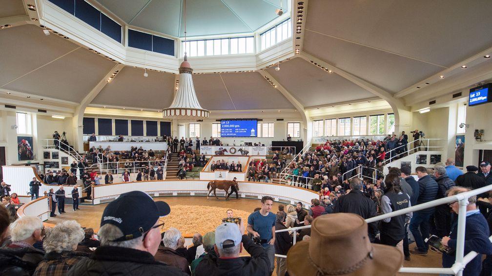 The Tattersalls sales ring, where Godolphin purchased the top lot at this week's Book 1 of the October Yearling Sale for 4,000,000gns