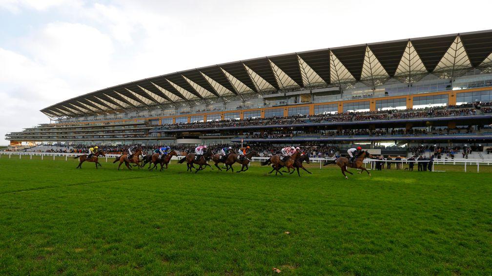 Ascot: will host a spectacular nine-race card on Saturday