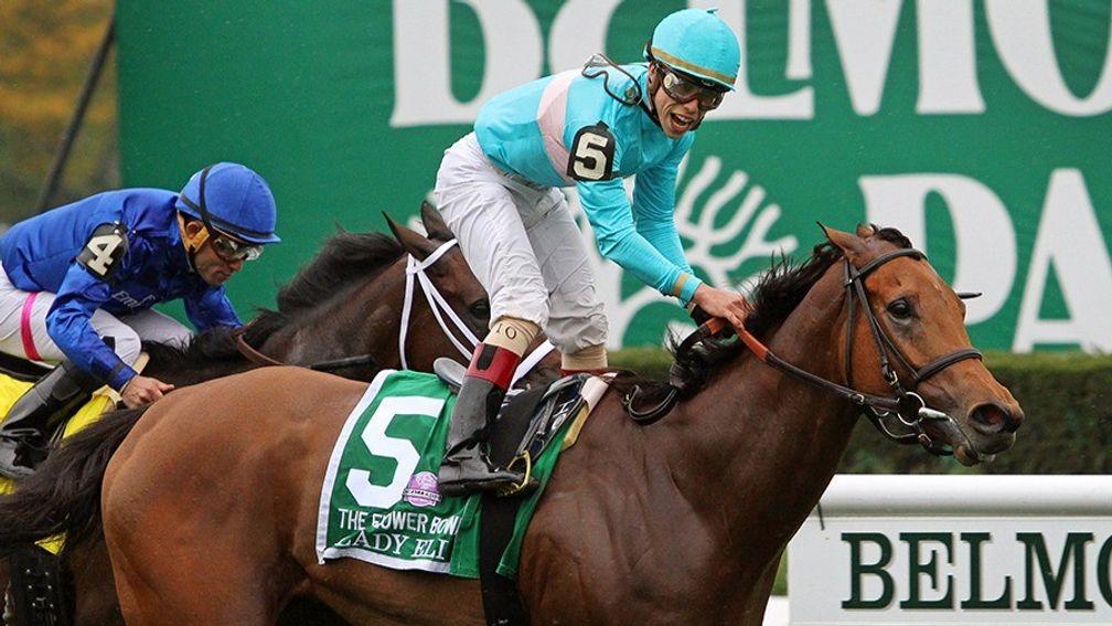 Lady Eli: sure to be in demand when she goes under the hammer at Keeneland