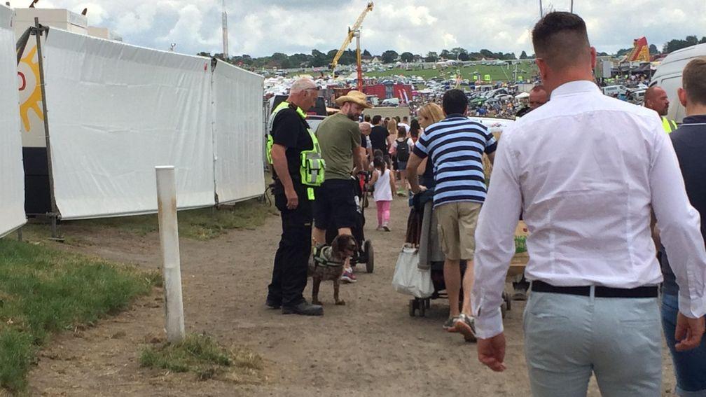 Sniffer dogs have been a regular presence at Saturday meetings this year