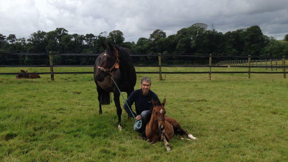 Robert Robinson has developed a thriving National Hunt stud in Annan