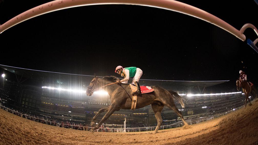 Dubai World Cup hero Arrogate is world champion for the second year in a row