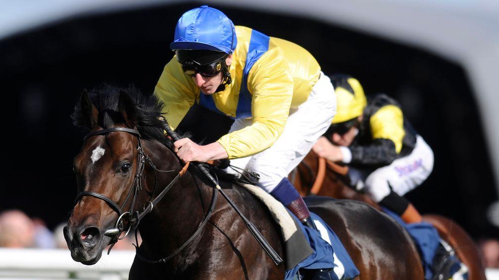 Moohaajim: talented two-year-old took the Mill Reef Stakes