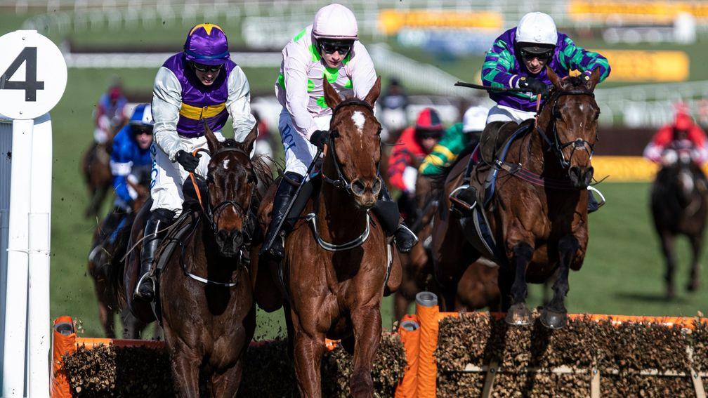 Latest Exhibition (left) was only beaten a neck by Monkfish (centre) in last year's Albert Bartlett Novices' Hurdle