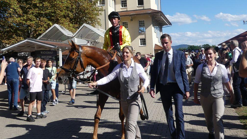 Torquator Tasso after his narrow defeat in Germany's biggest all-aged race