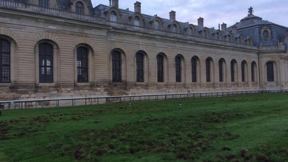 The damage caused to a section of the Chantilly track by marauding wild boar just five days before the Arc Trials card