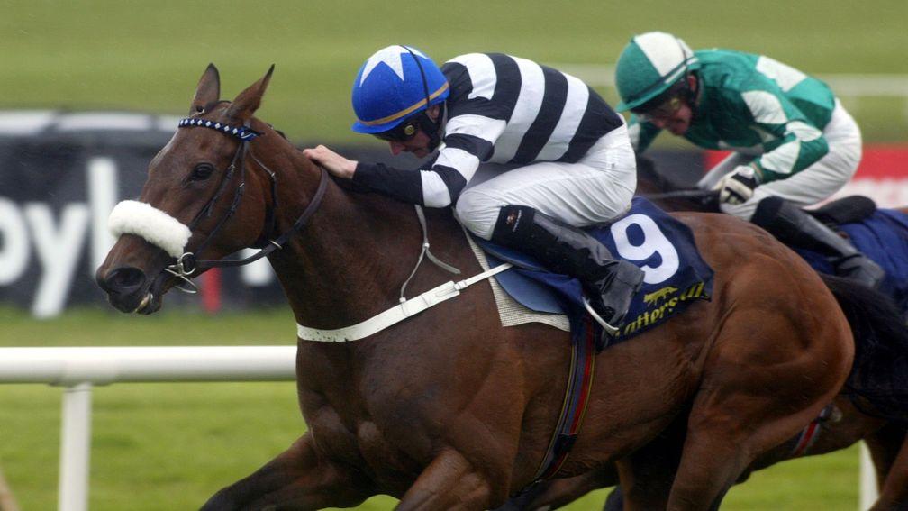 Rebelline: Group 1 winner was bred by Peter Tellwright
