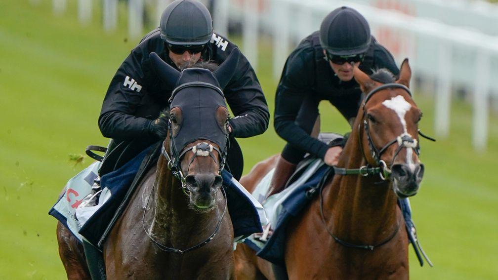 West Wind Blows (L) with Harry Burns riding Aaddeey have a racecourse gallop at Epsom Racecourse on May 23, 2022 in Epsom, England. (Photo by Alan Crowhurst/Getty Images)