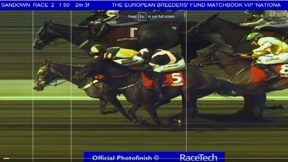 The photo finish image from the first winning post  which led to One For Rosie being incorrectly called the winner