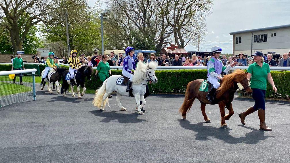 Irish pony racing: had been forced to postpone meetings this season