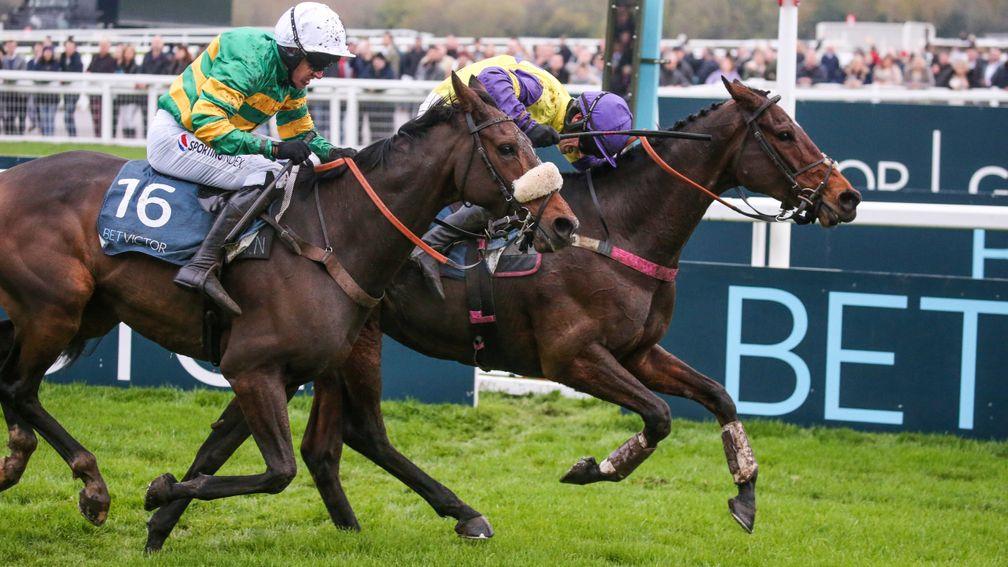 Happy Diva: landed the BetVictor Gold Cup