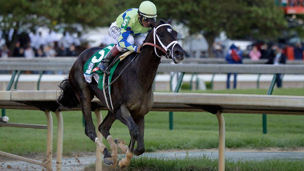 Always Dreaming: WinStar Farm sire has his first foal on the ground