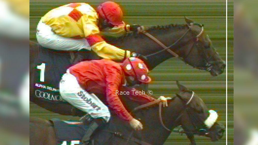 That's close: Alpha Delphini (top) edges out Mabs Cross in the Nunthorpe