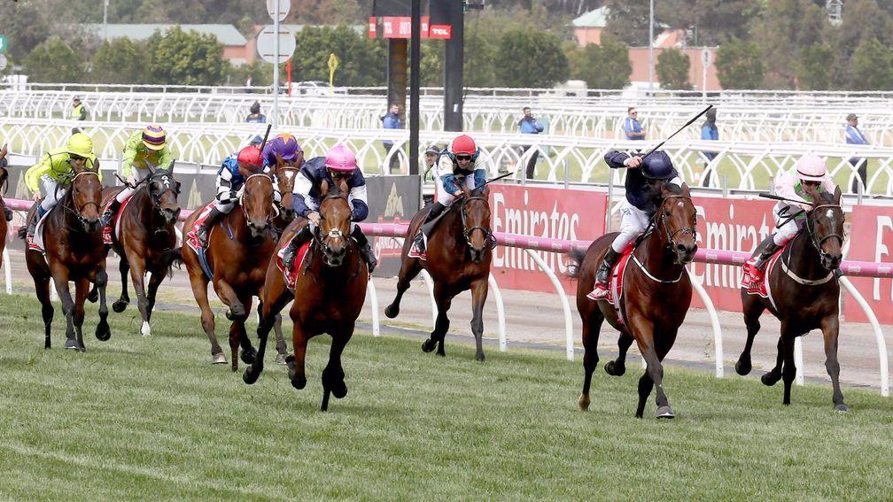 Max Dynamite, far right, finishing third behind Rekindling and Jan Vermeer in the 2017 Melbourne Cup
