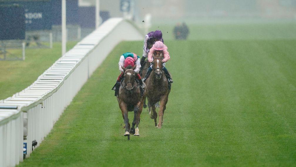One-way traffic: Enable strides clear of Sovereign and Japan at Ascot