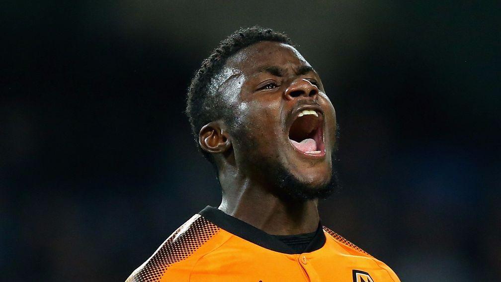Wolves have had plenty to shout about this season