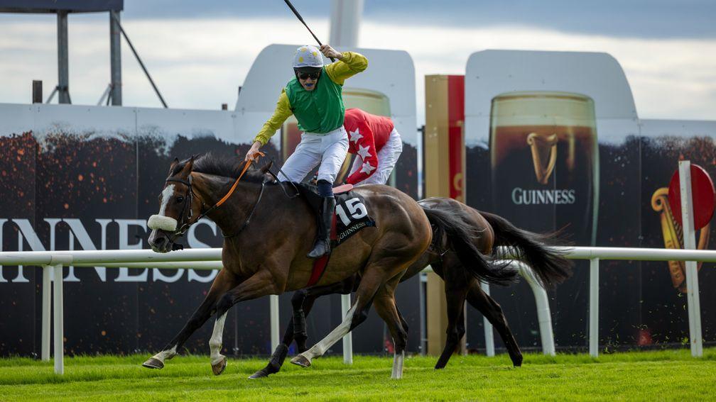 Tudor City: bounced back to his best to win a second Guinness Galway Hurdle