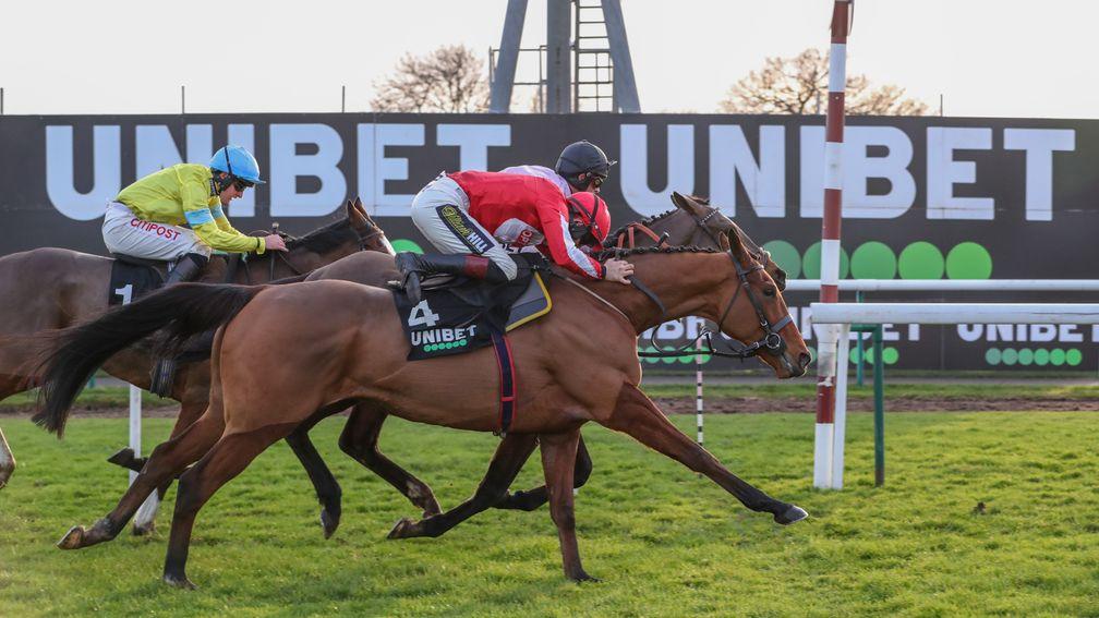 Ballyandy (nearside): gets up in a photo finish to land The New One Hurdle