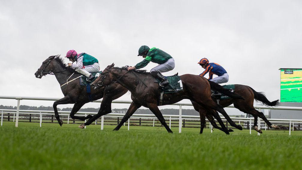 The Curragh boasts quality action on Friday evening while Down Royal stages a jumps card