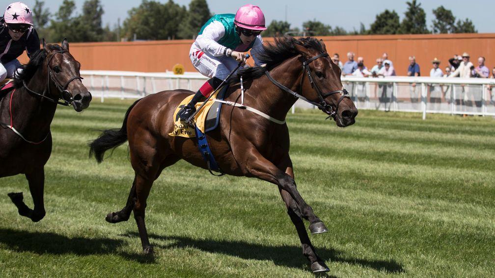 Viadera: gave her sire Bated Breath his first top-level winner in the Matriarch Stakes