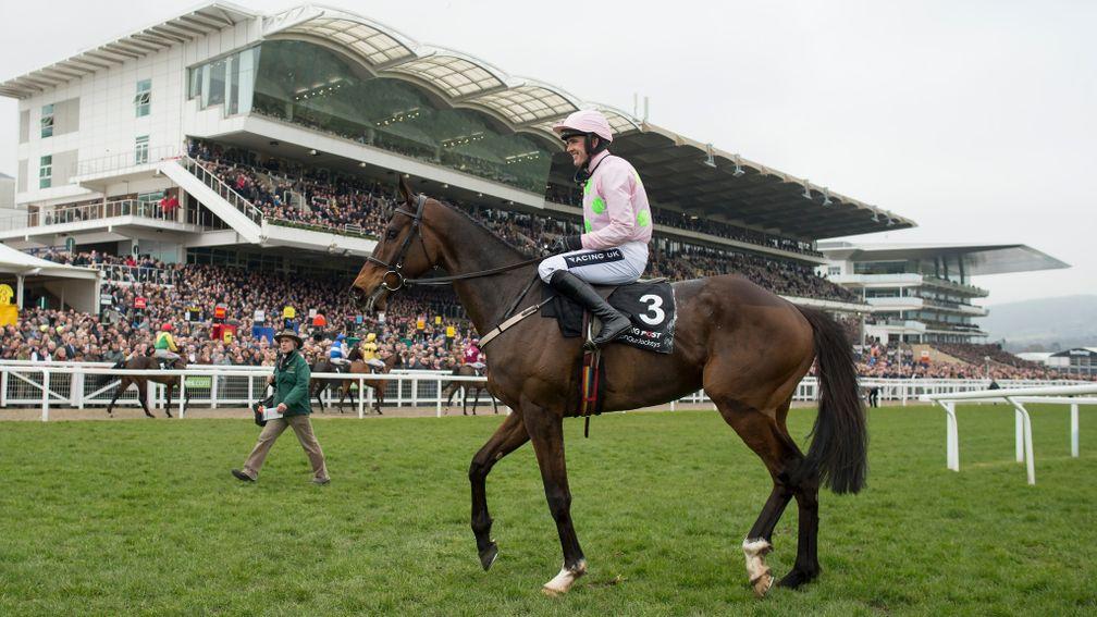 Douvan: chances of making the Champion Chase are now considerably better than 50-50 according to Willie Mullins