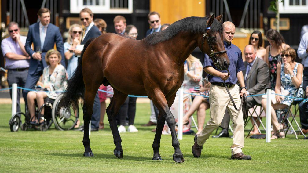 Dubawi: the Dalham Hall resident collected a brace of prizes