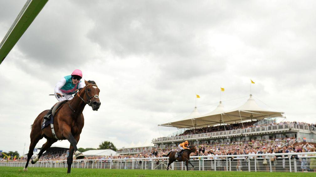 The duel that never was: Frankel powers to victory as an injured Canford Cliffs toils on the far rail