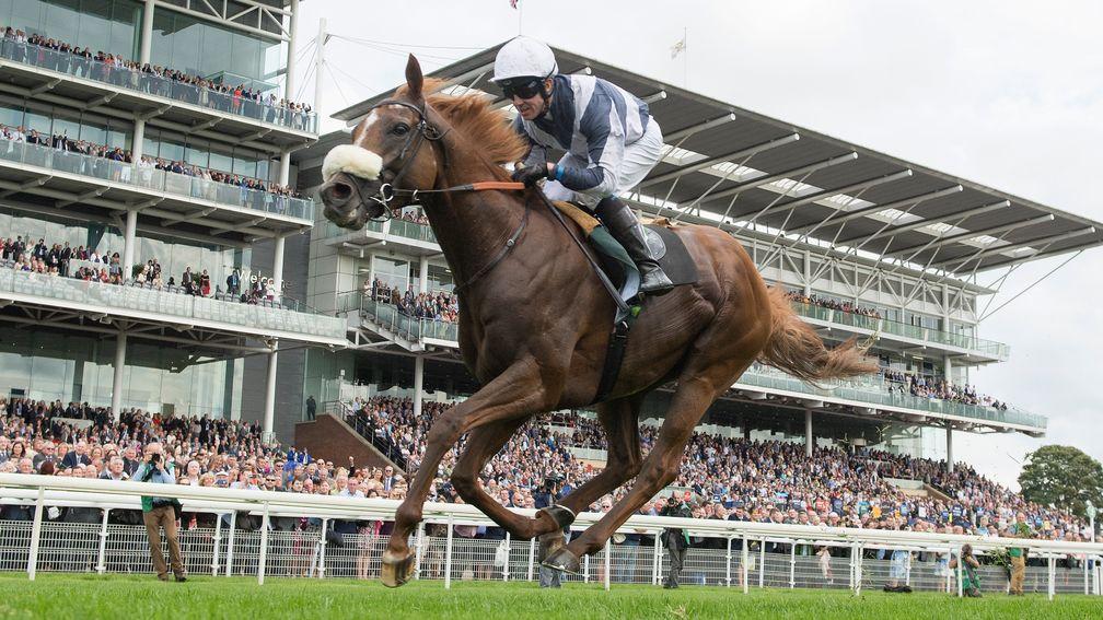 Ulysses (Jim Crowley, pictured winning the International Stakes at York, could go for the Arc