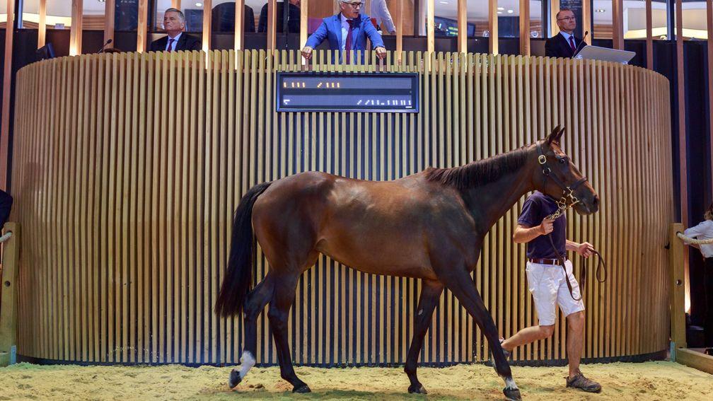 Floret: the daughter of Galileo in the Arqana ring