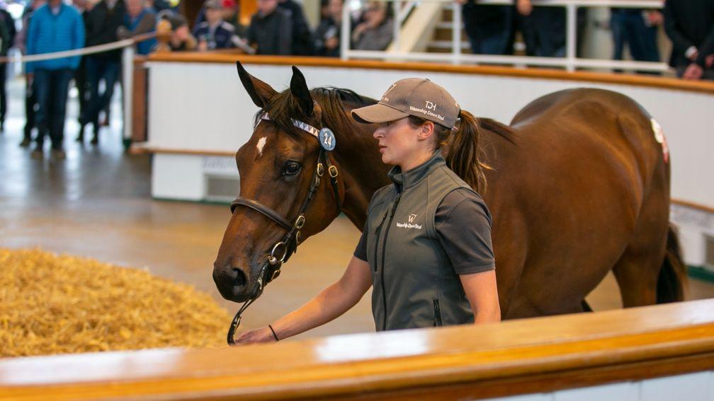 Lot 24: the Siyouni filly out of Lah Ti Dar sells for 880,000gns