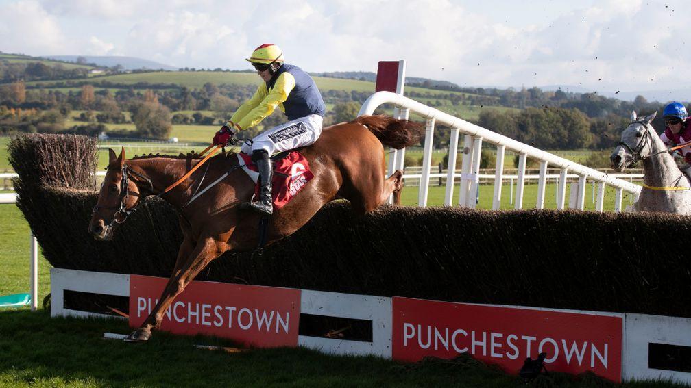 The Storyteller jumps the last en route to landing the Irish Daily Star Chase at Punchestown on Wednesday