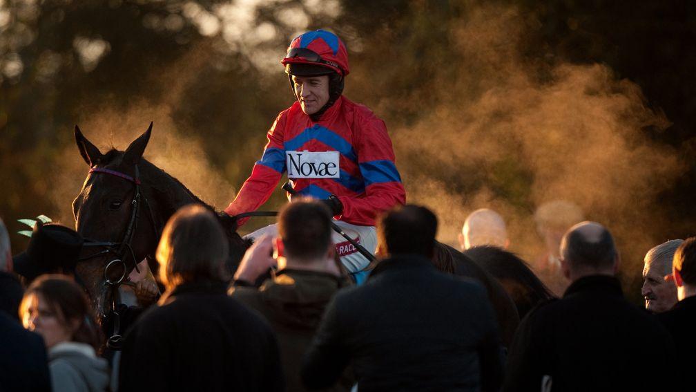 Sprinter Sacre: Sandown star topped our Tingle Creek poll with 38 per cent of the vote