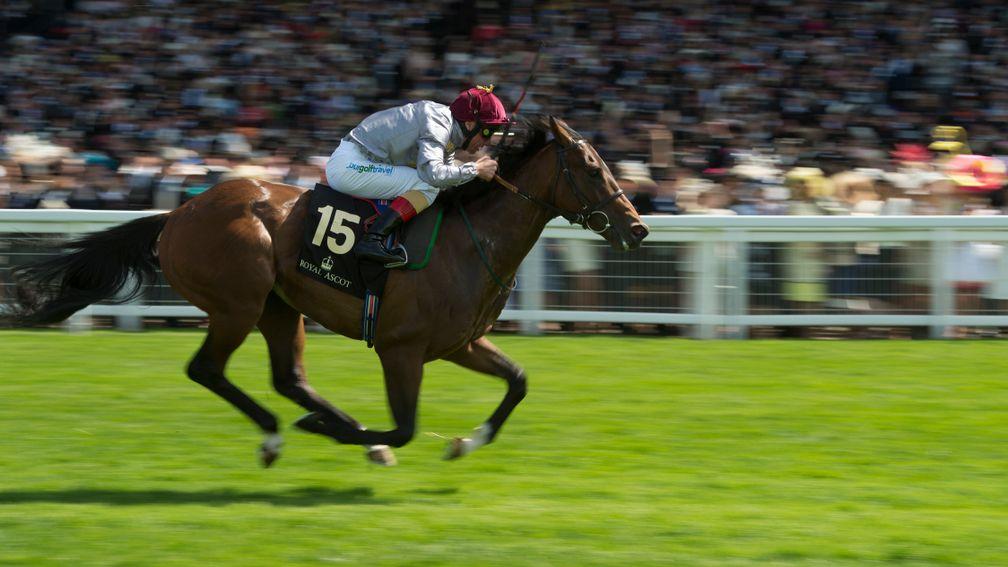 The Wow Signal wins the 2014 Coventry Stakes