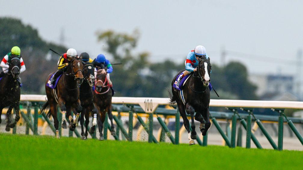 Betting turnover on this year's Japan Cup was up on the previous two years