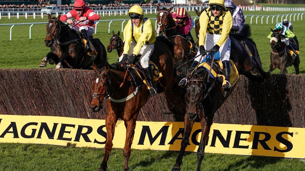 Lostintranslation jumping in unison with Al Boum Photo in the Cheltenham Gold Cup