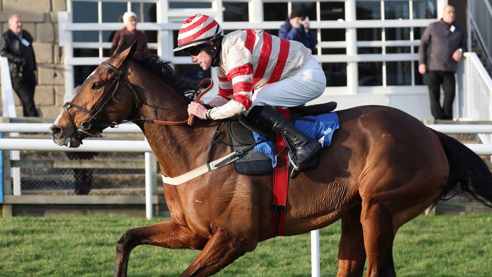 Soft Risk: lofty ambitions have been outlined for the unbeaten novice hurdler