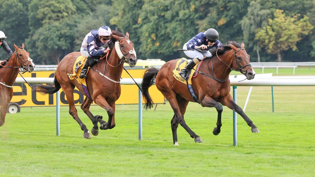 Island Brave had only five rivals to beat in the Old Borough Cup