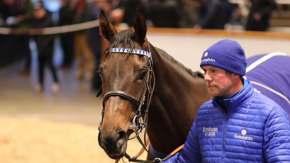 Miska: tops the third day of the Tattersalls December Mares Sale at 125,000gns