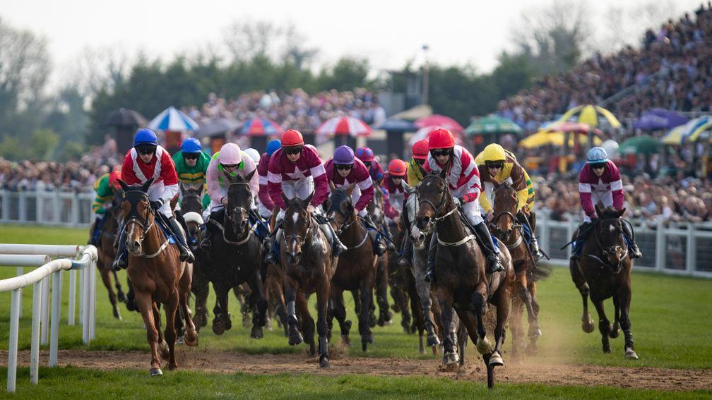 The Irish Grand National is one of the strongest trends races on the calendar