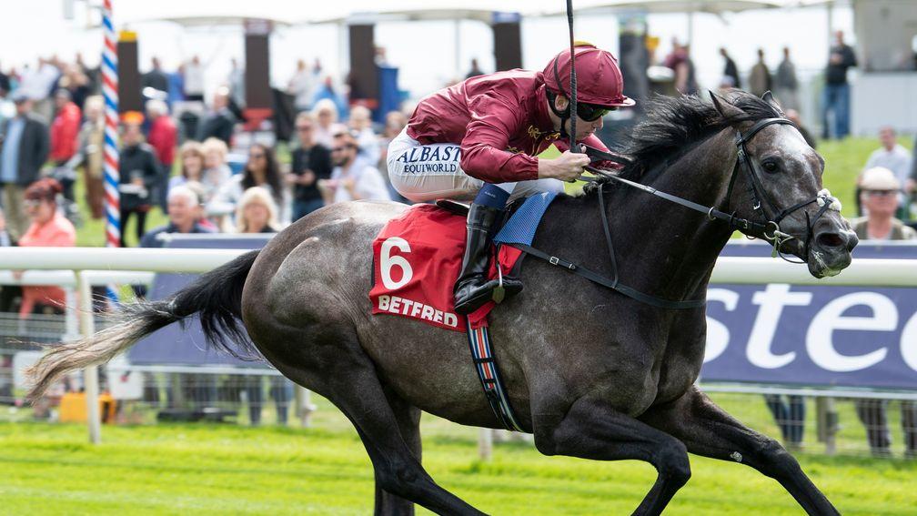 Roaring Lion will take on Saxon Warrior for a third time in the Investec Derby, John Gosden announced on Tuesday
