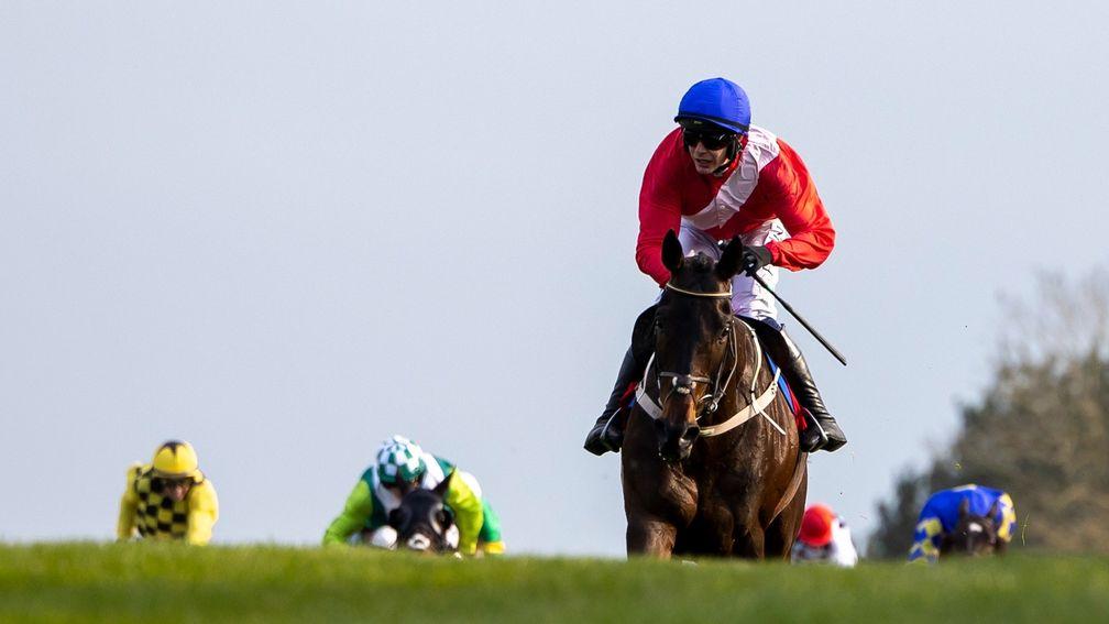 Allaho: bolted up by 14 lengths in the Ladbrokes Punchestown Gold Cup in April when last seen
