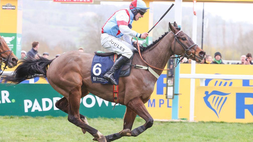 Simply The Betts: sweet success at Cheltenham last year but will miss this season's festival