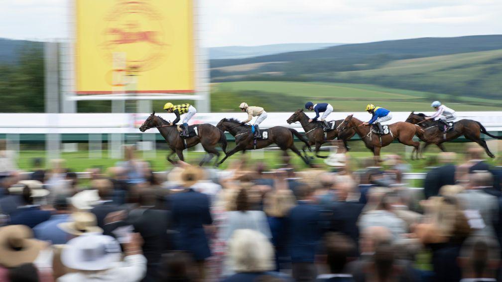 Goodwood: one of two racecourses to hold the British EBF 2yo Series finals