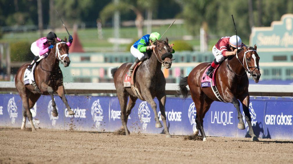 Tapizar, pictured winning the 2012 Breeders' Cup Dirt Mile, is moving to Japan